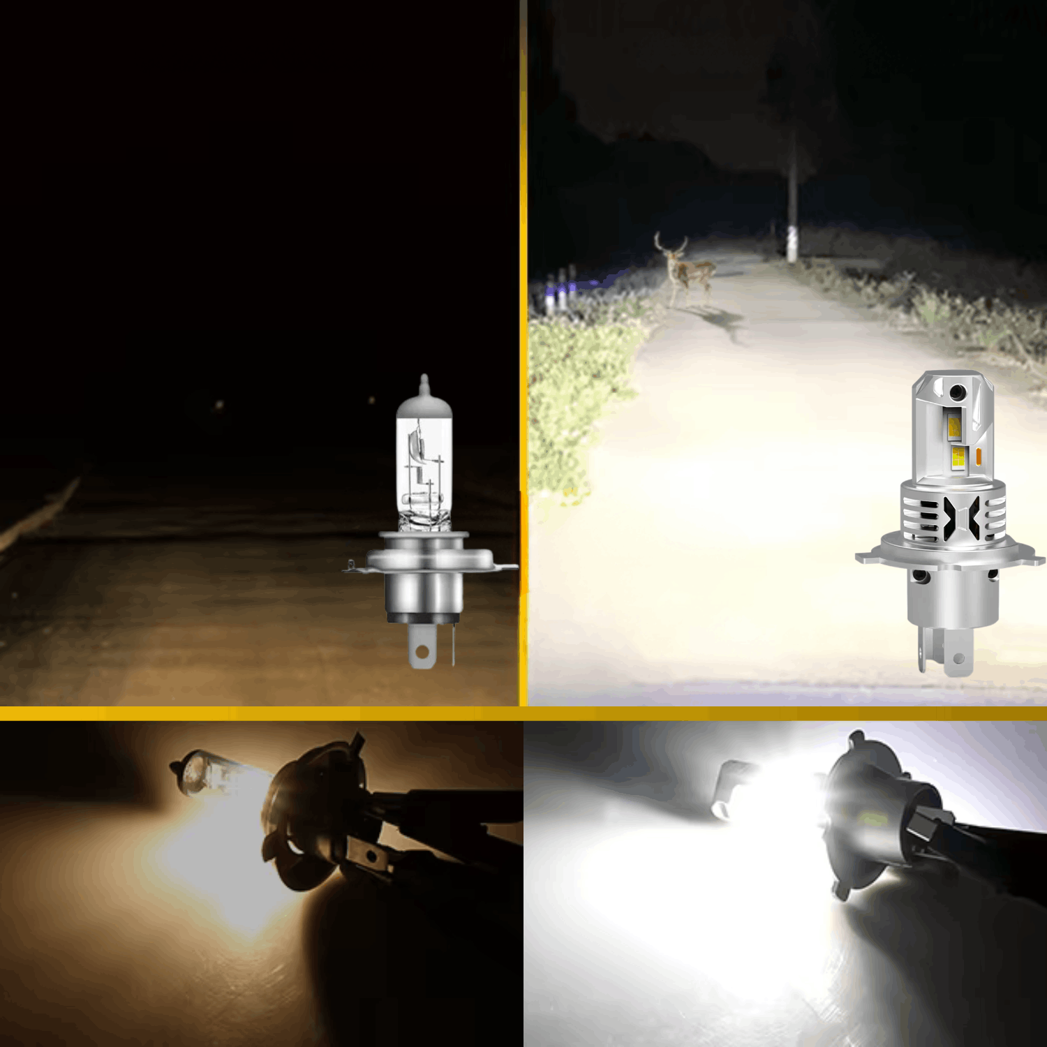 Żarówka LED H4 MAGALL X PRO 1 do 1 porównanie halogen vs LED droga leśna